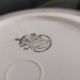 7 earthenware dessert plates, KG Lunéville