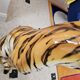Ceramic sculpture tiger Modern Art Capodimonte