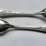 Silver metal salad cutlery set