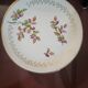Lots of 6 dessert plates gien model sous bois