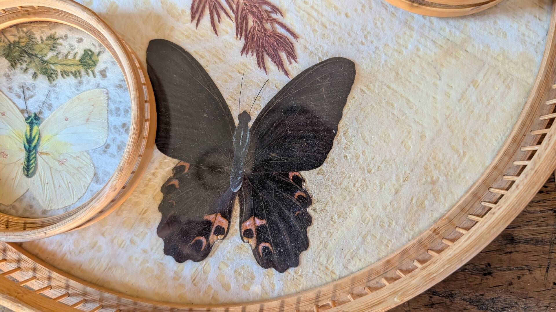 Vintage bamboo tray + 6 butterfly coasters from the 70s