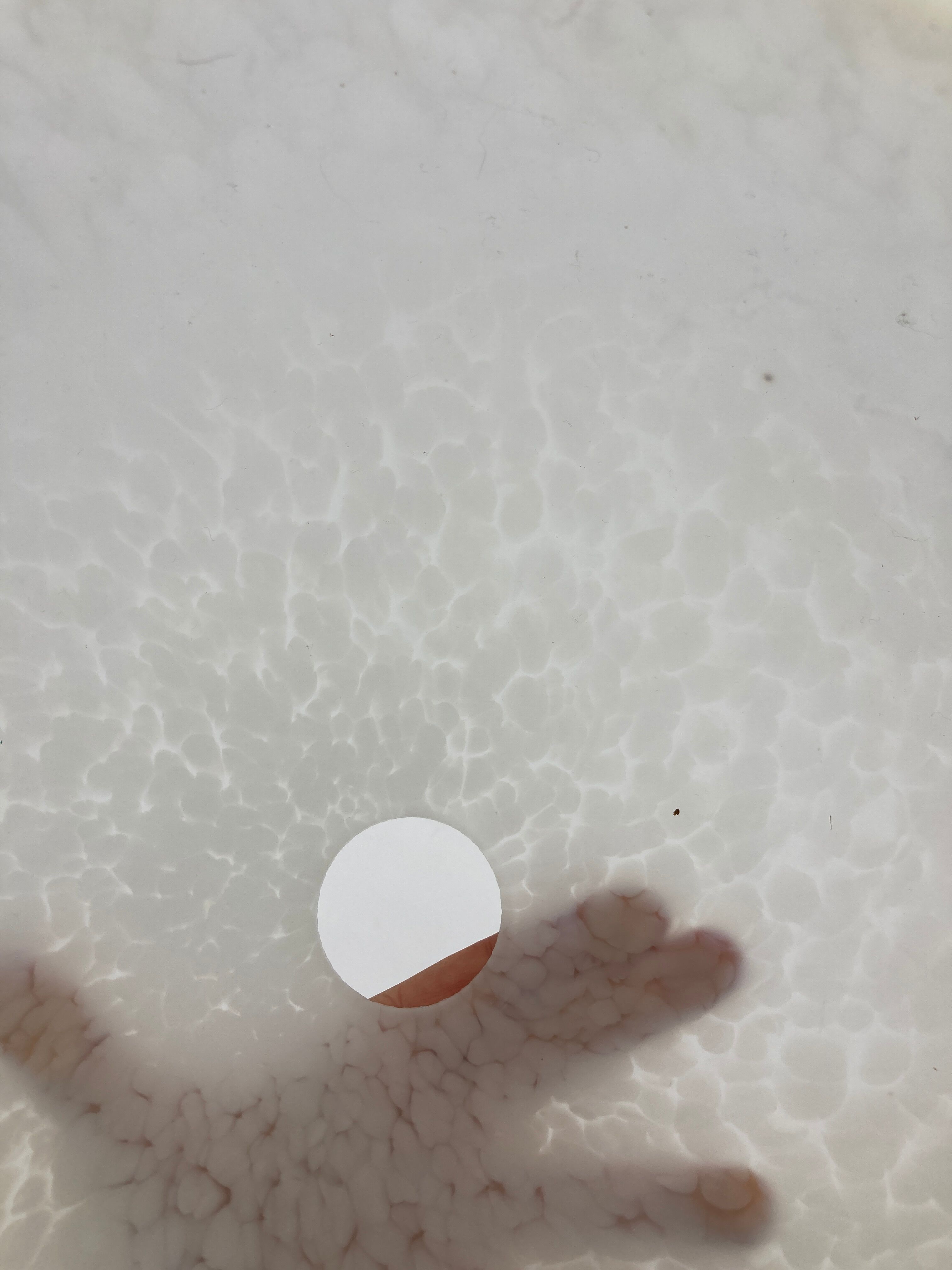 Speckled glass suspension