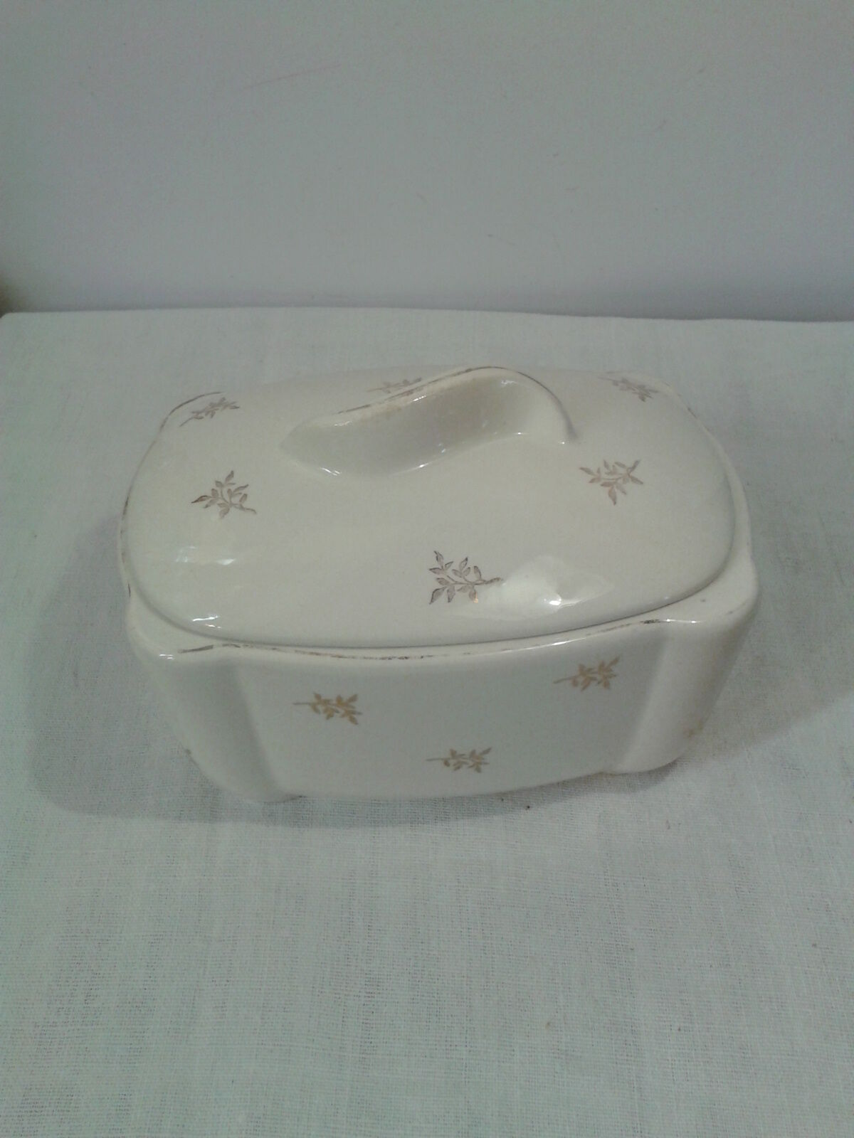 Box earthenware of Salins