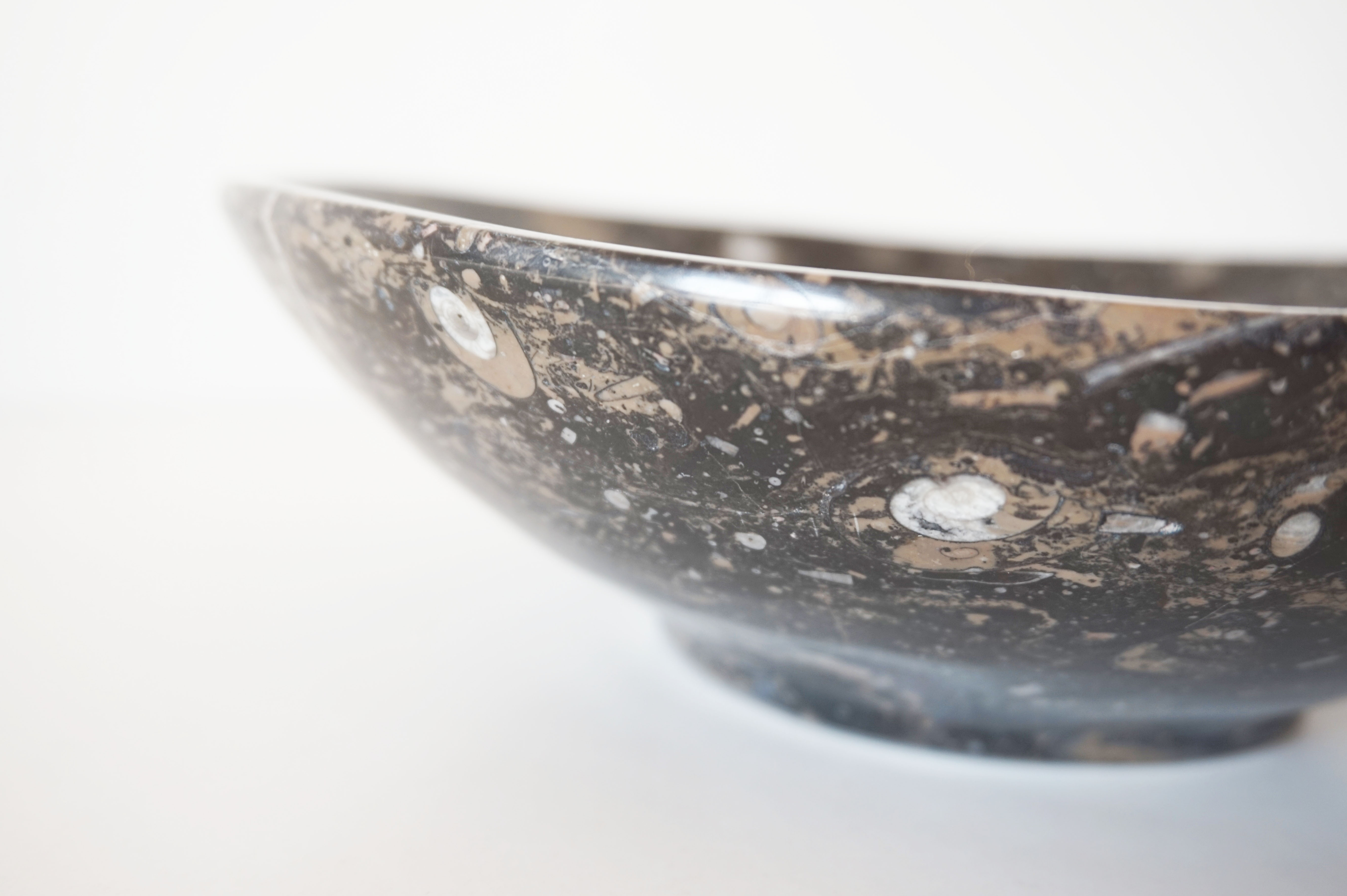 Empty pocket in fossilized black marble