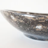 Empty pocket in fossilized black marble