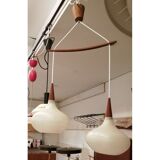 Double luminaire