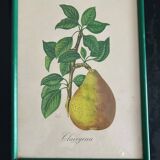 two lithographs sidney zoltan lucas