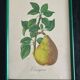 two lithographs sidney zoltan lucas