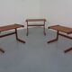 Danish Teak Nesting Tables from Salin Nyborg, 1960s, Set of 3