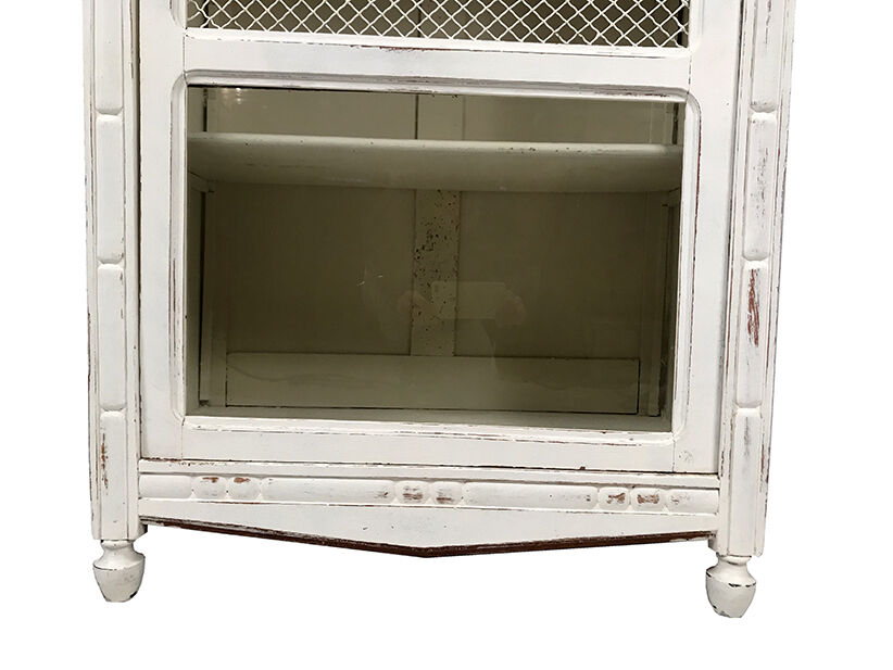 Armoire une porte grillagée en partie haute et verre en partie basse