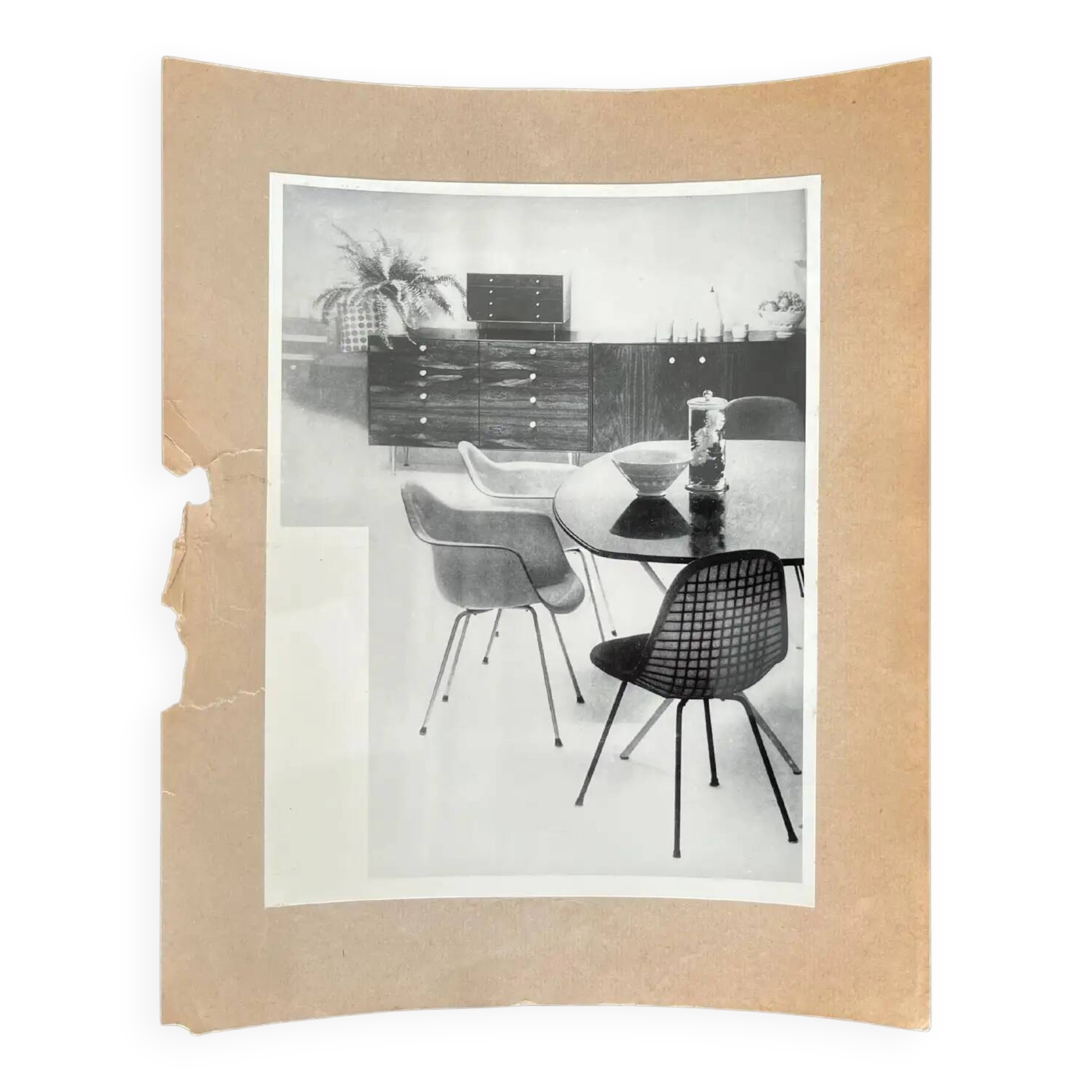 Original photo of furniture / dining chairs by Herman Miller, 1953