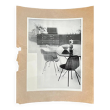 Original photo of furniture / dining chairs by Herman Miller, 1953