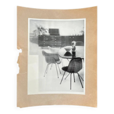 Photo originale de meubles / chaises de salle à manger par Herman Miller, 1953.