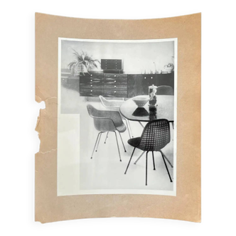 Original photo of furniture / dining chairs by Herman Miller, 1953