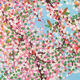 Damien Hirst