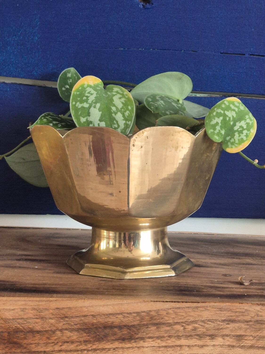 Golden brass cup