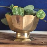Golden brass cup