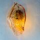 Italian "Leaf" Murano pink glass wall sconce, circa 1970s