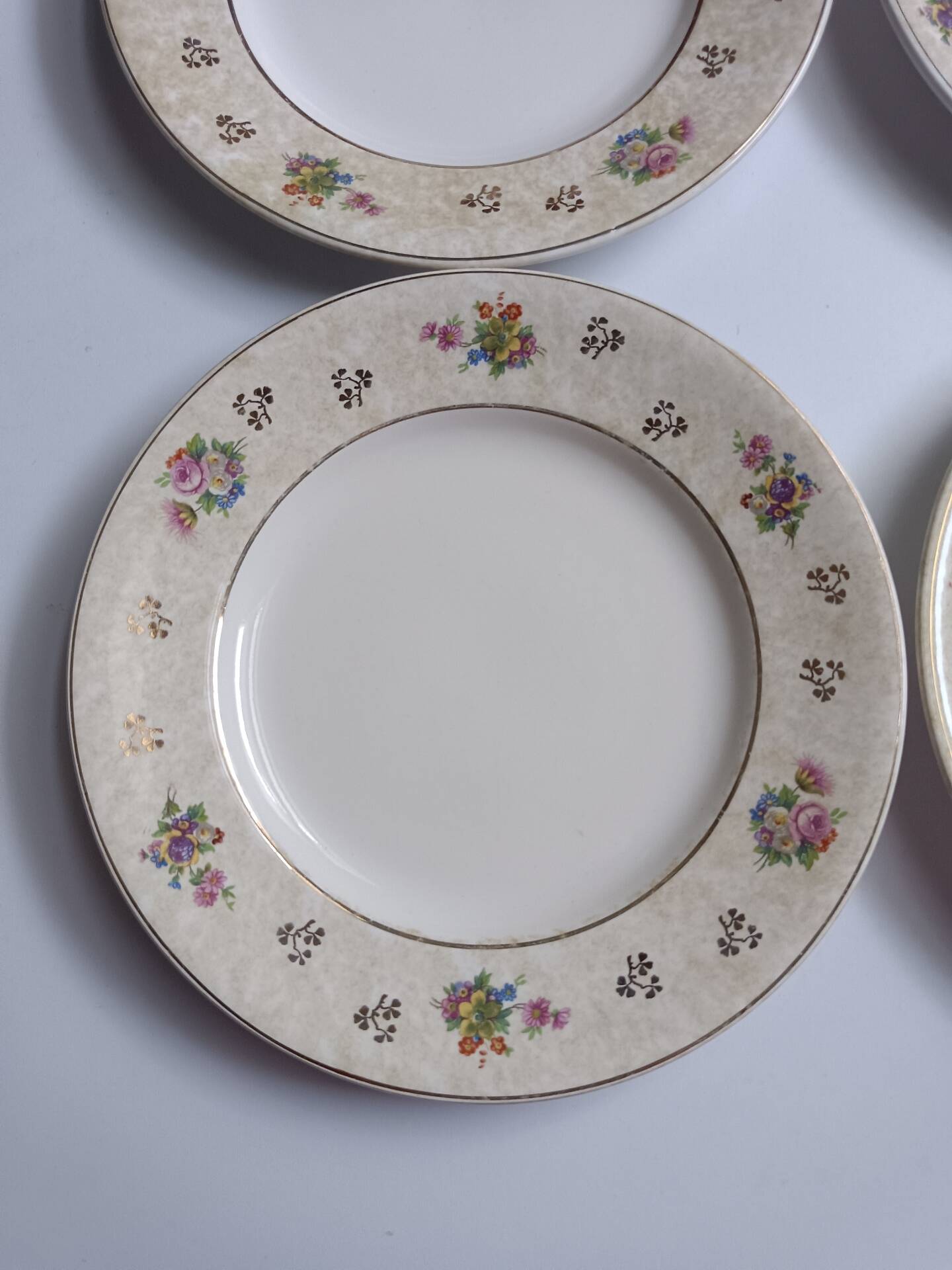 Set of 6 flat plates Salins model Simone beige with flowers.