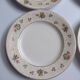 Set of 6 flat plates Salins model Simone beige with flowers.