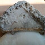 Antique holy water font in Italian Baroque marble