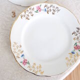 6 flat flowered plates