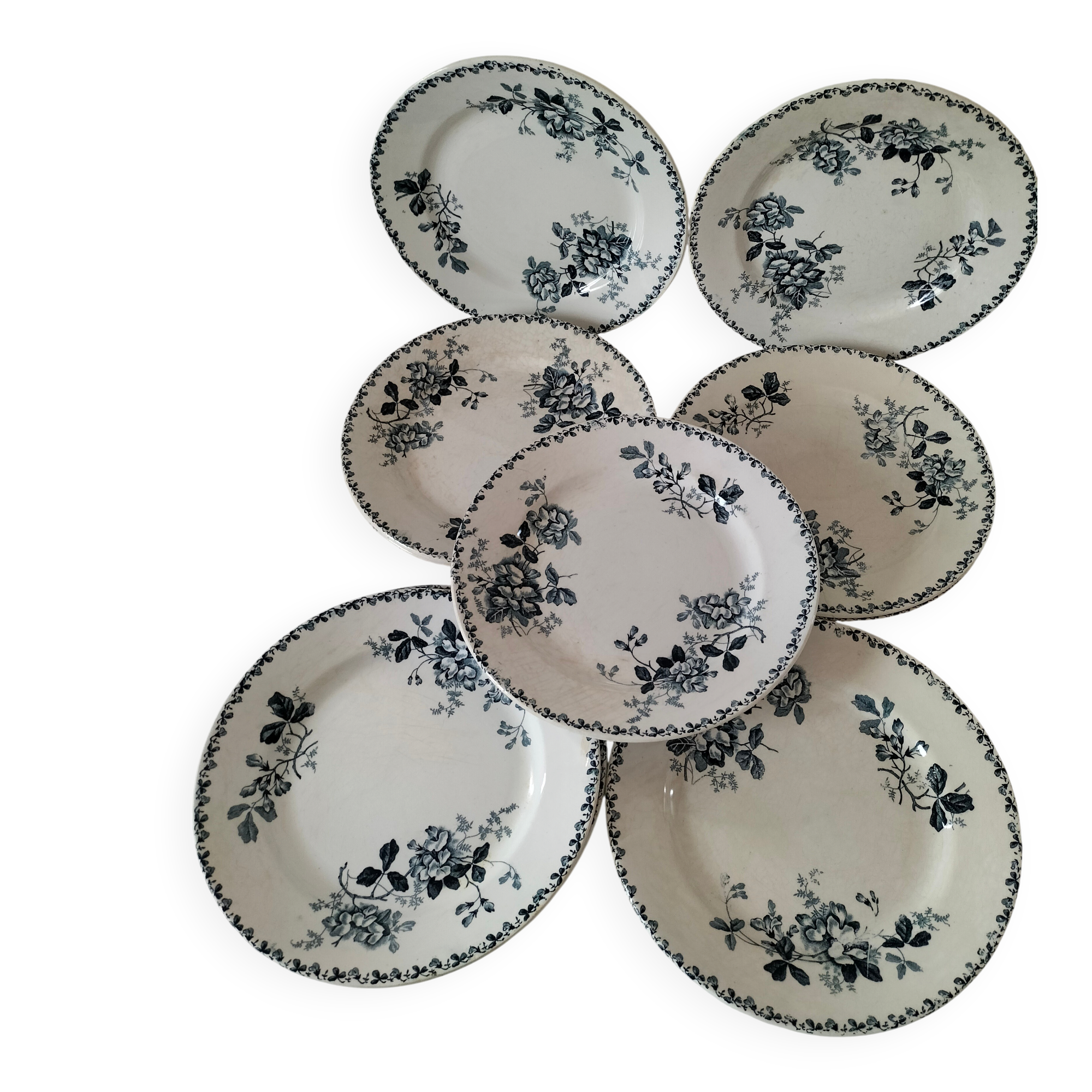 Set of 10 ironstone plates Moulin des Loups Acacia