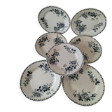 Set of 10 ironstone plates Moulin des Loups Acacia