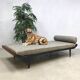 Cleopatra daybed by Dick Cordemeijer for Auping
