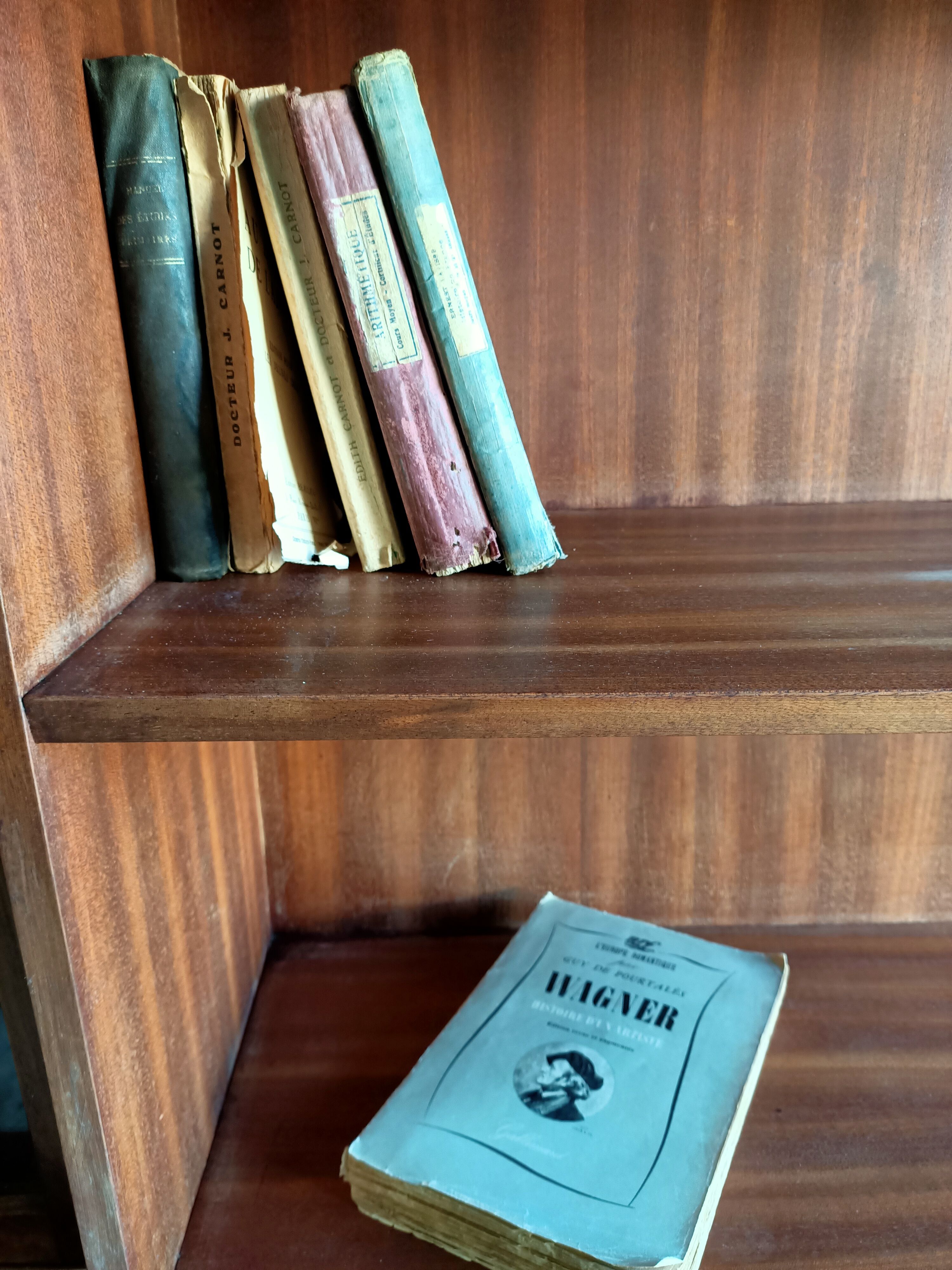 Vintage wall shelf/closet