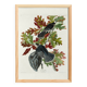 Poster about the Canada Jay, based on an old engraving from 1827.