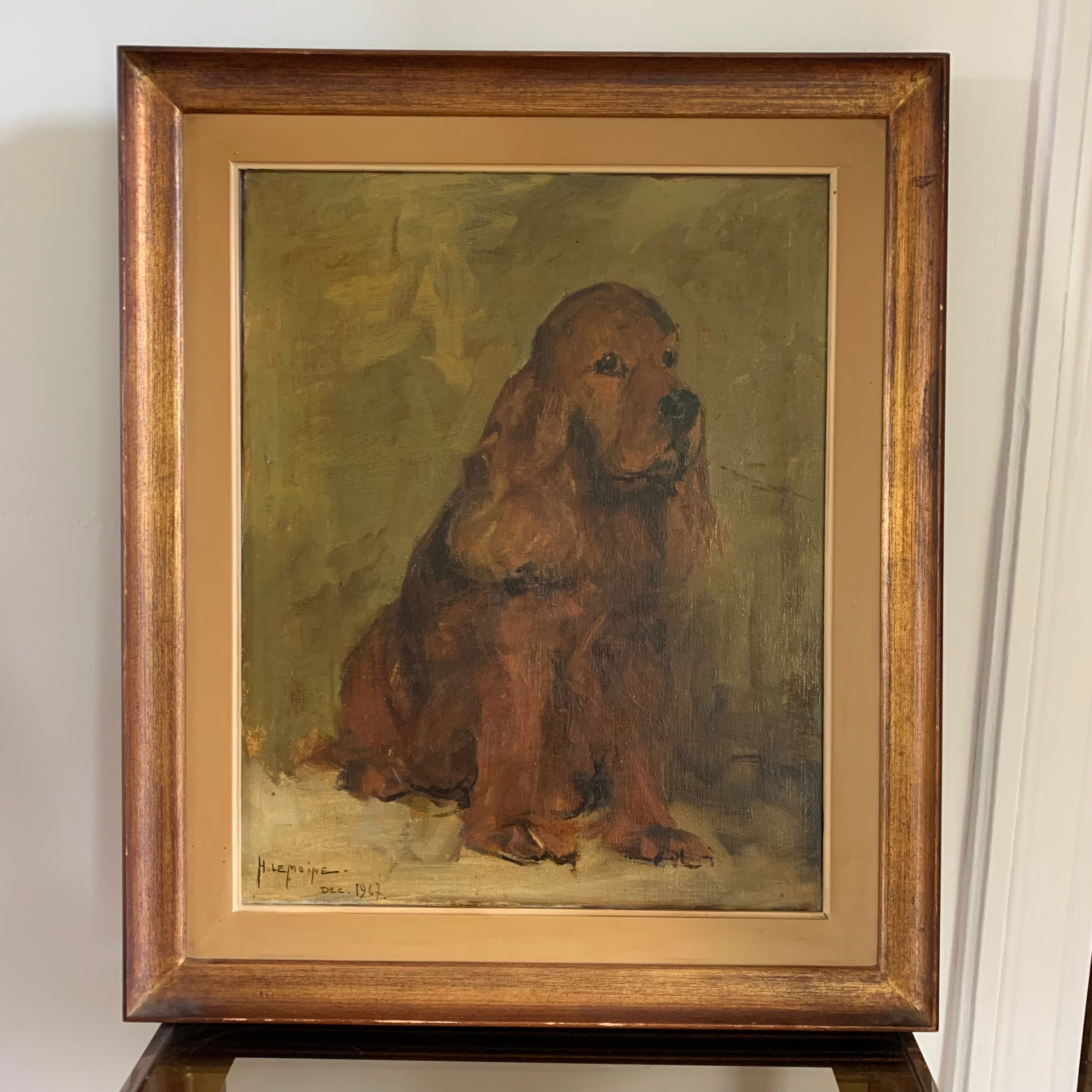 Portrait of a cocker spaniel dog