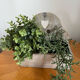 Wooden planter white patina