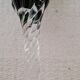 Champagne flute
