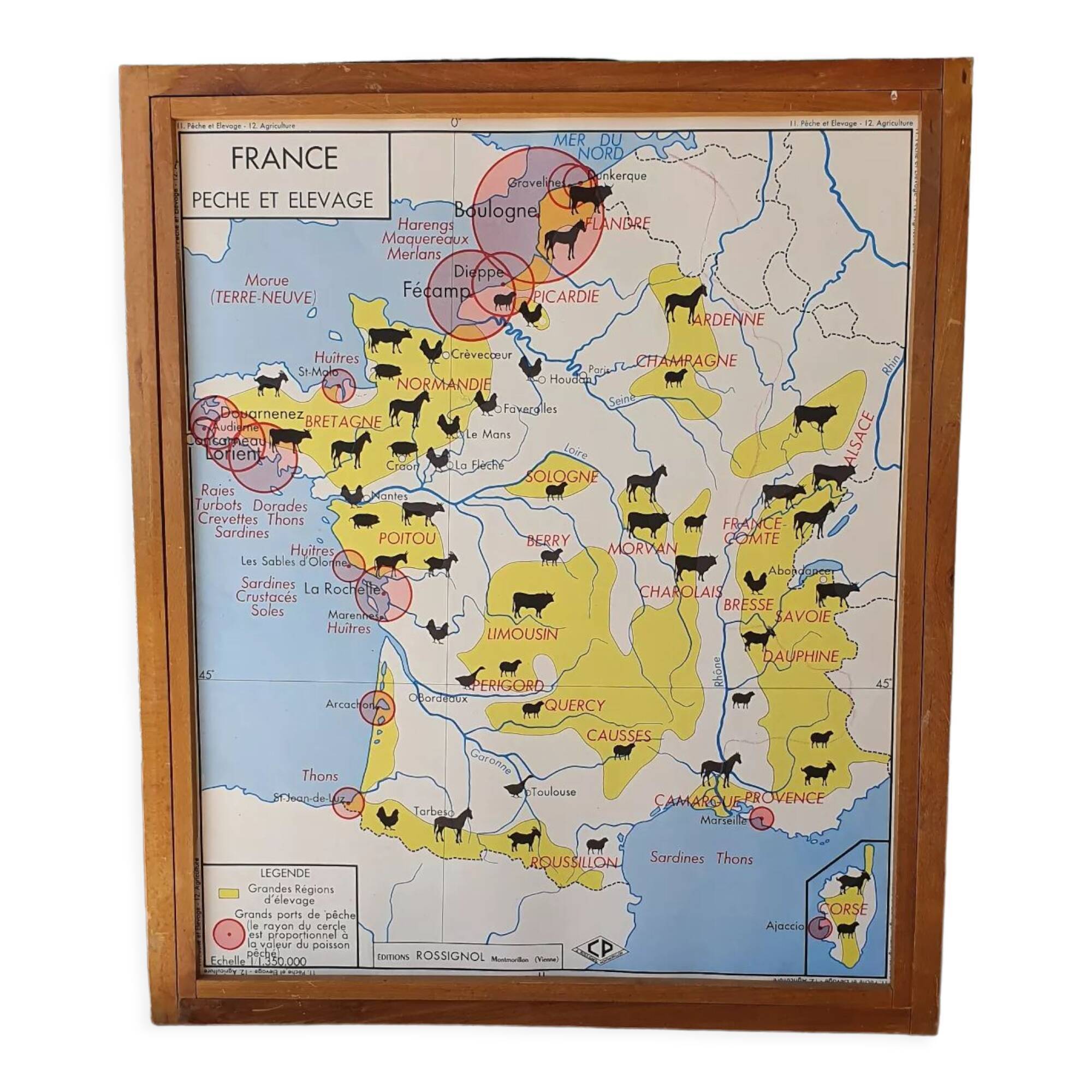 Rossignol school maps