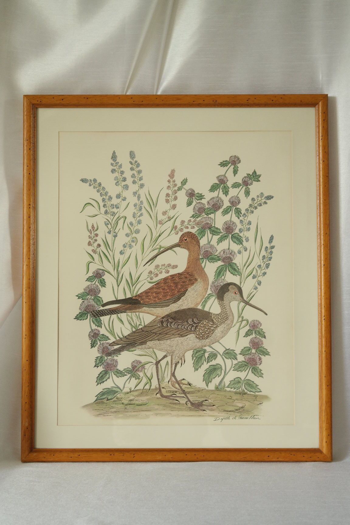 Tableau vintage aquarelle ducks of terronblan monbaly dayelle