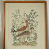Tableau vintage aquarelle ducks of terronblan monbaly dayelle