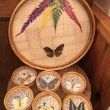 Old butterfly tray and coaster service