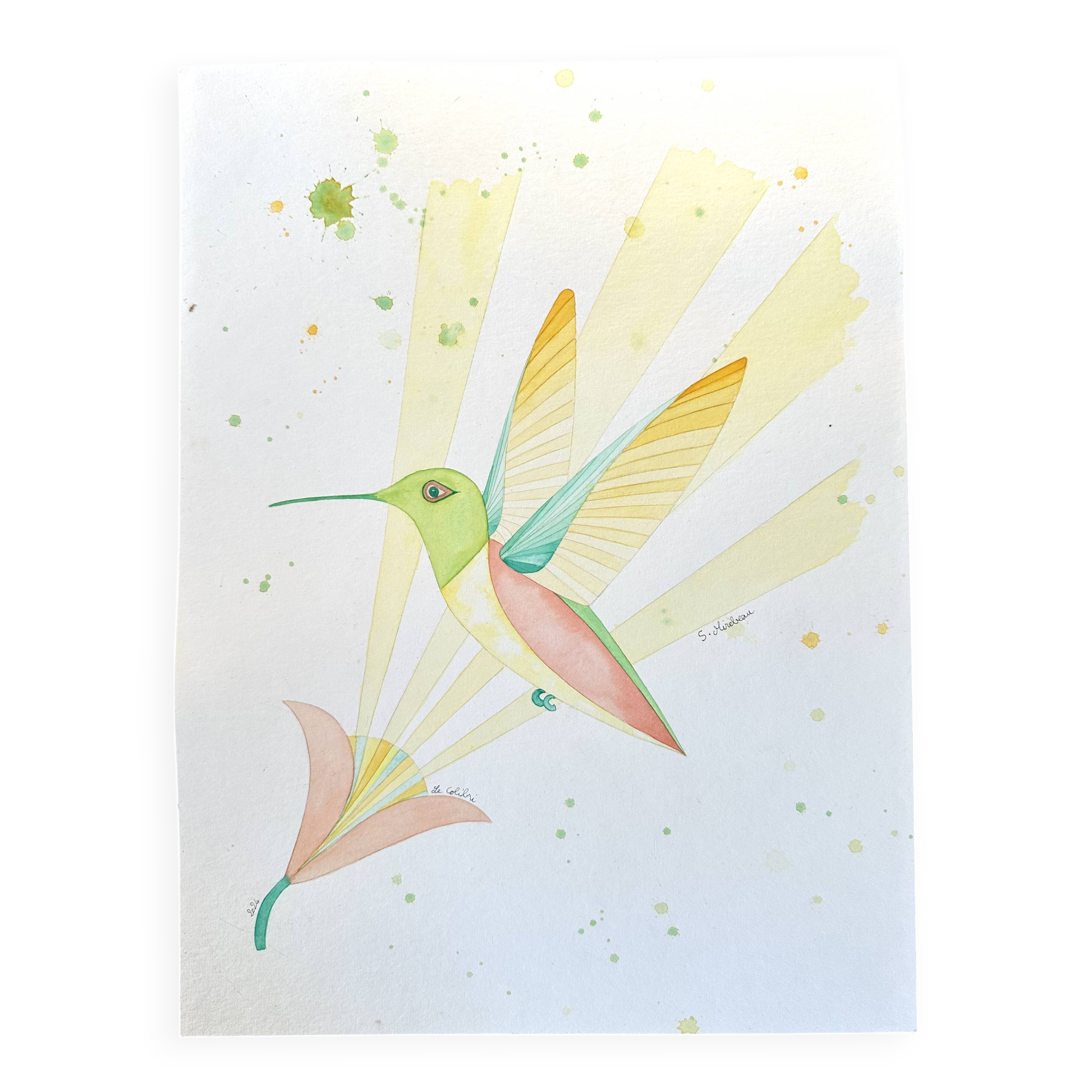 Hummingbird watercolor