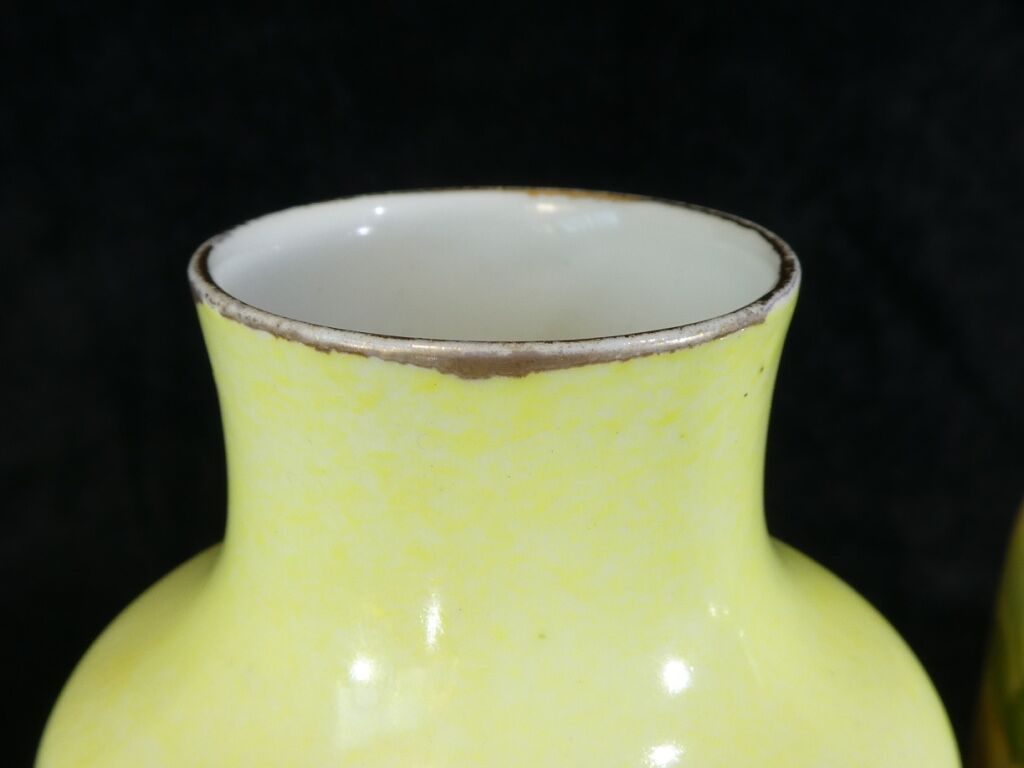 Pair of Limoges porcelain vases decorated with rose bushes