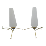 Pair of vintage brass tripod lamps and opaline tulips