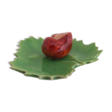 snail fork holder in snail slurry on tree leaf