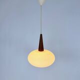 Vintage NG74 30 Pendant Lamp by Louis Kalff for Philips, 1950s