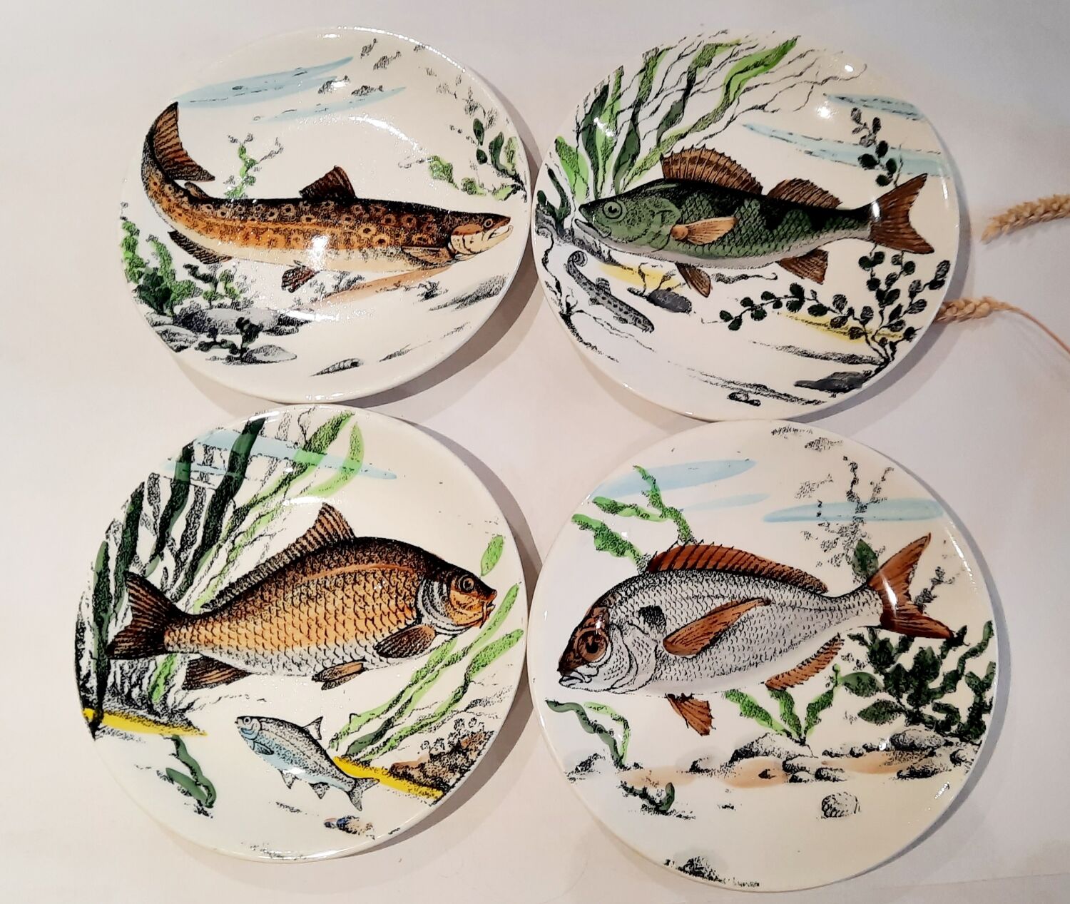Fish plates Gien
