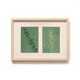 Duo of paintings on paper, herbarium and botanical series signed Eawy.