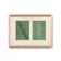 Duo of paintings on paper, herbarium and botanical series signed Eawy.