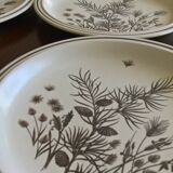 Eight plates WH Grindley Pinewood made in England