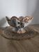 Vintage fruit bowl in Italian faience from BASSANO – Signed