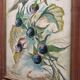 Set of 4 paintings