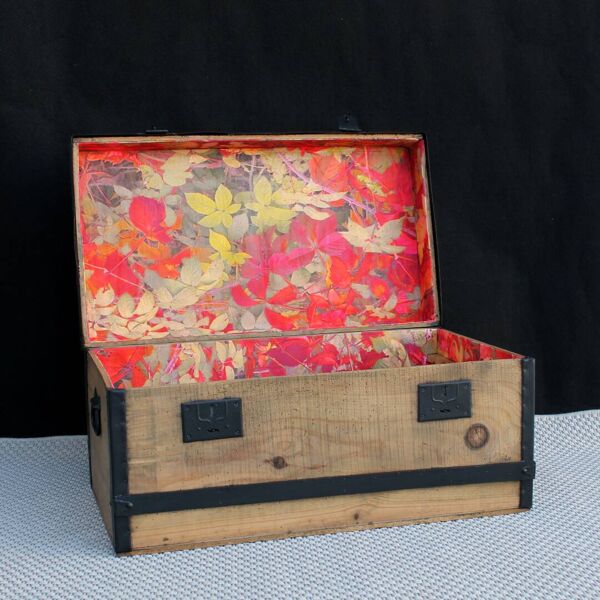 Malle de voyage en bois